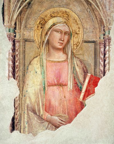 Madonna del Parto von Taddeo Gaddi